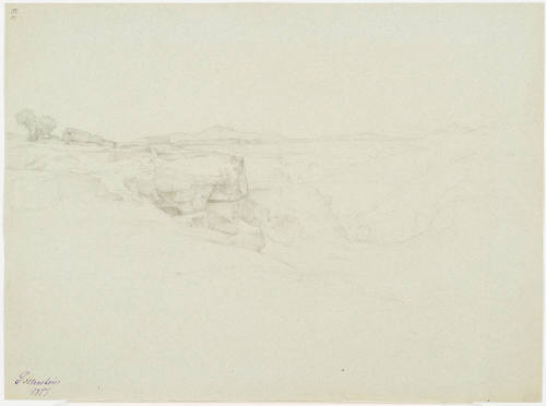 Rocky Landscape with Tree and House