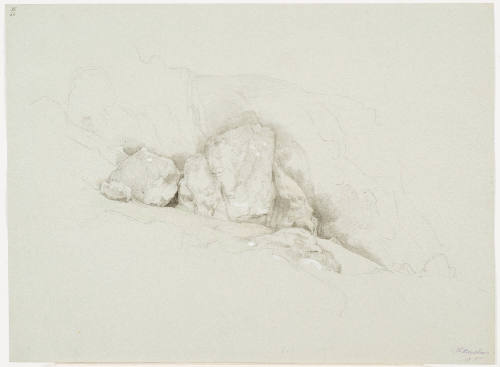 Rocky Study
