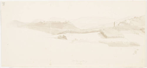 Landscape with Fields and Forest 0 in the Palatinate