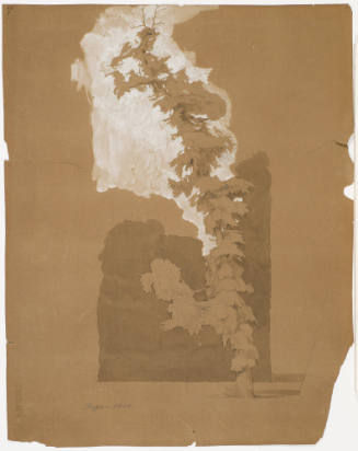 Tree Study - Dessau