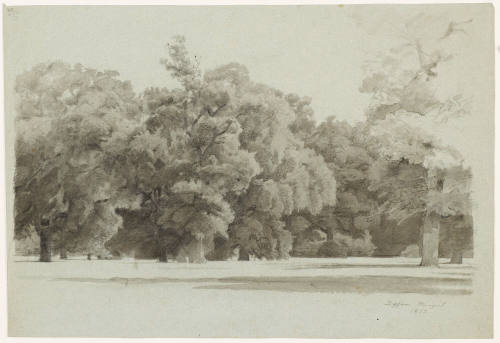 Park Landscape - Dessau