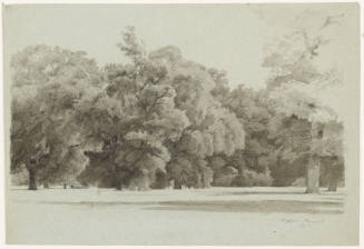 Park Landscape - Dessau