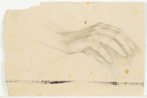 Study of Woman's Hand