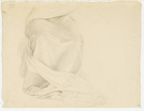 Garment Study