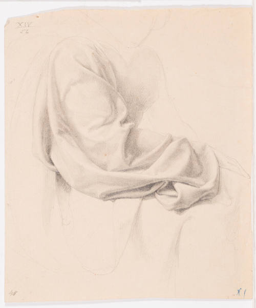 Garment Study