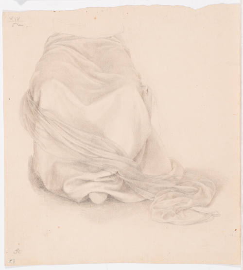 Garment Study