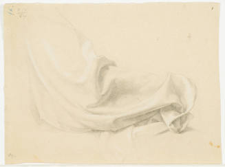 Garment Study