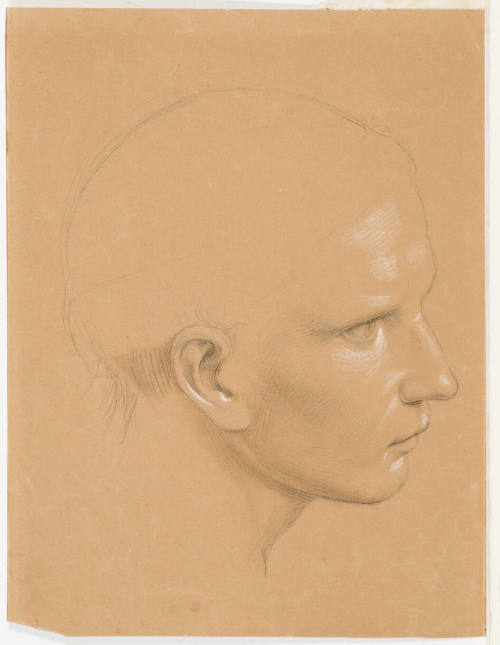 Head Study