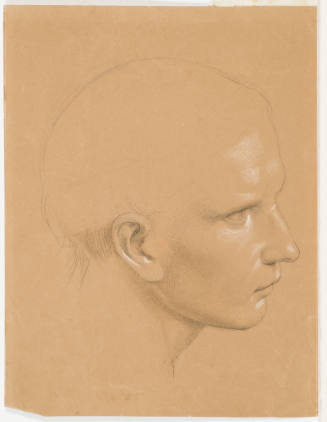Head Study