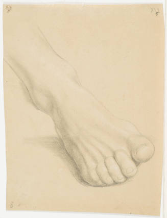 Study of a Foot
