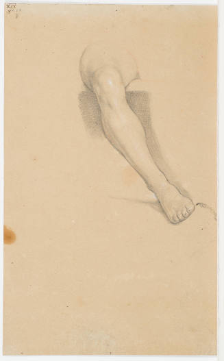 Study of Leg