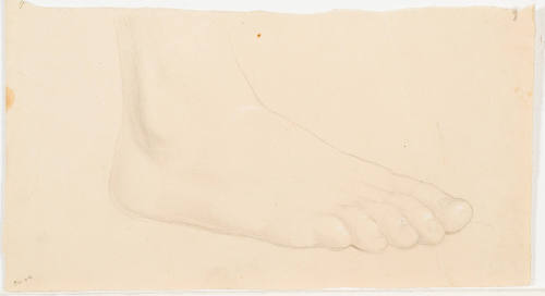 Study of Foot
