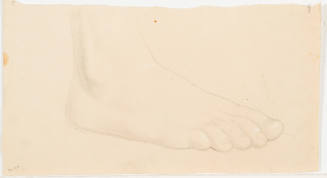 Study of Foot
