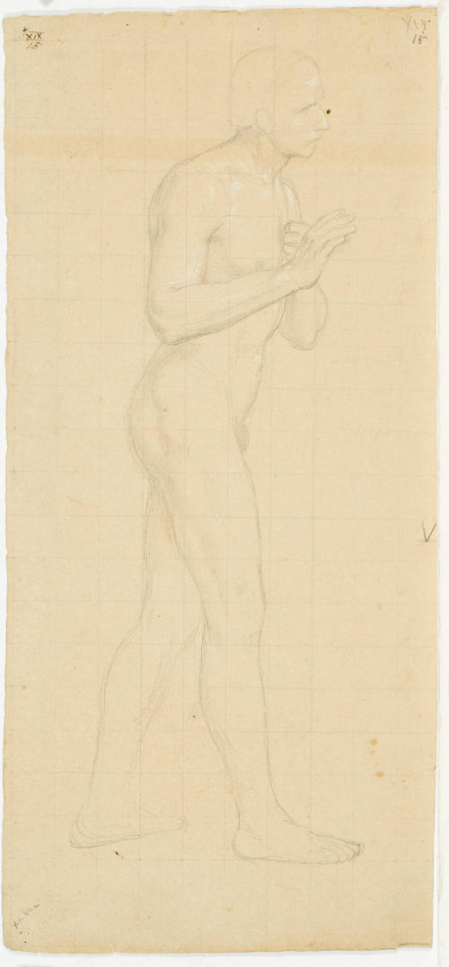 Male Nude