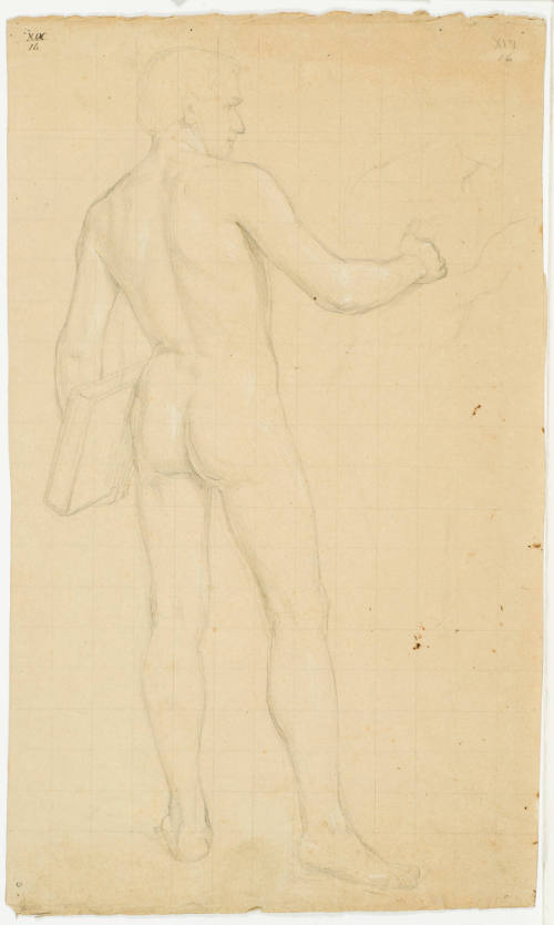 Male Nude