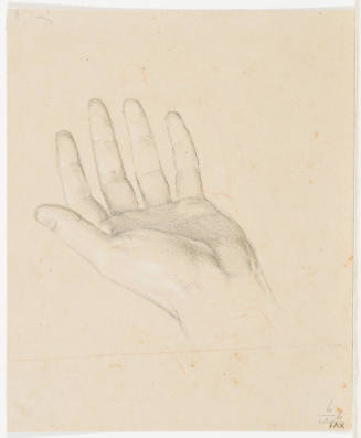Hand Study