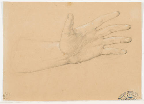 Hand Study