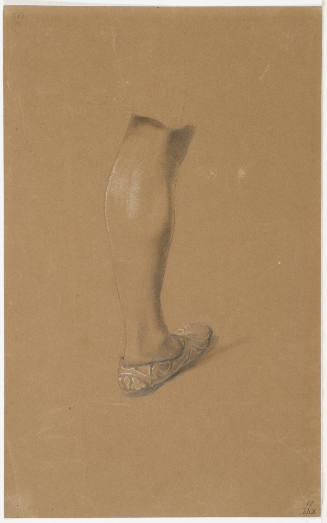 Study of Lower Leg