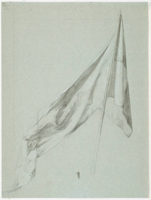 Flag Study