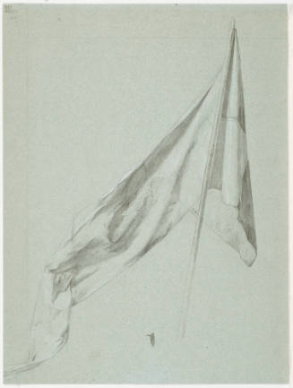 Flag Study