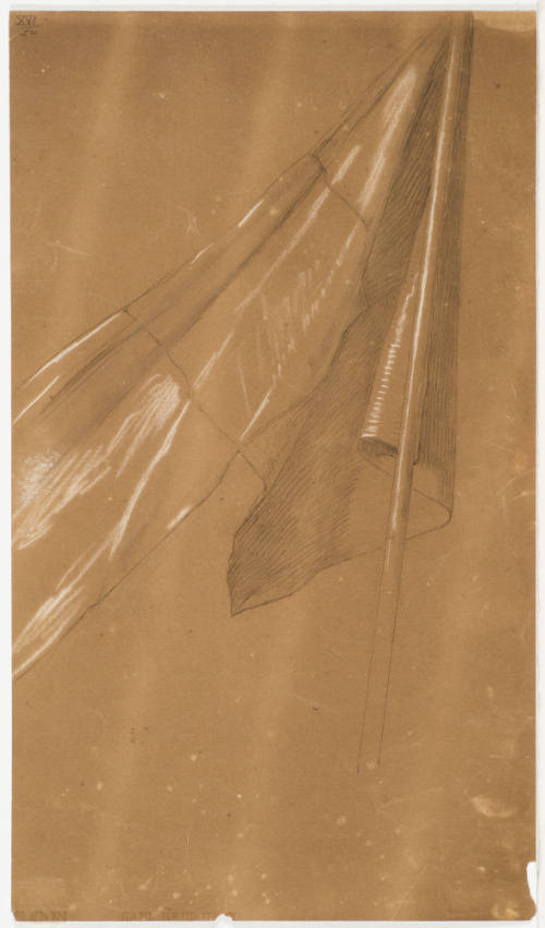 Flag Study