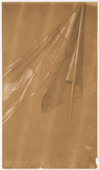 Flag Study