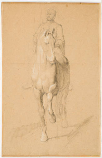 Horse and Rider
