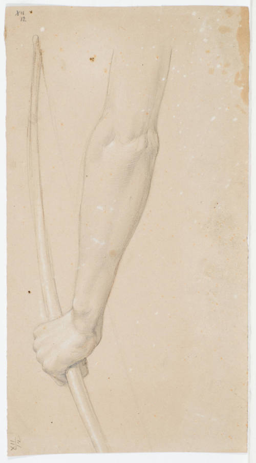 Study of Arm and Cross Bow