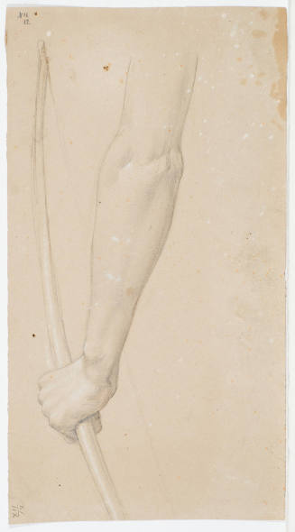 Study of Arm and Cross Bow