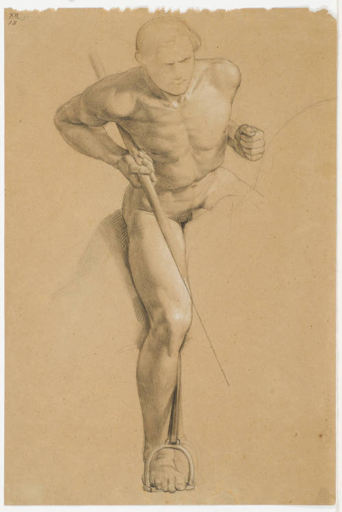 Study of Rider