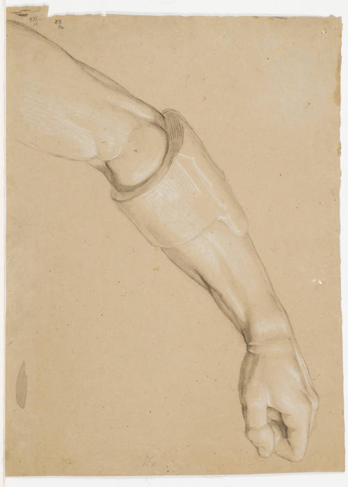 Study of a Man's Arm