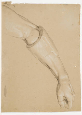 Study of a Man's Arm