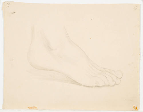 Foot Study