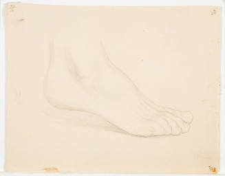 Foot Study