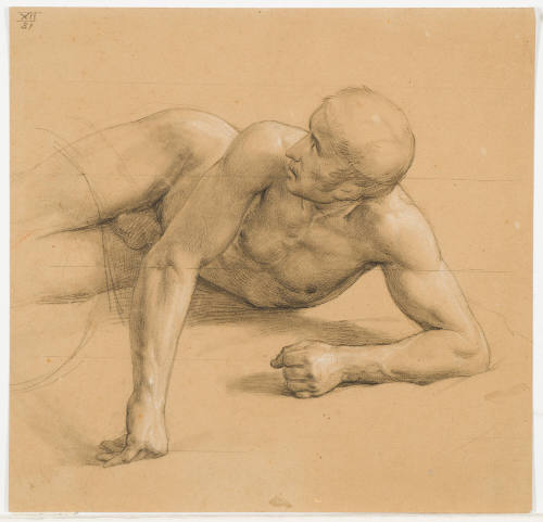 Study of a Reclining Male