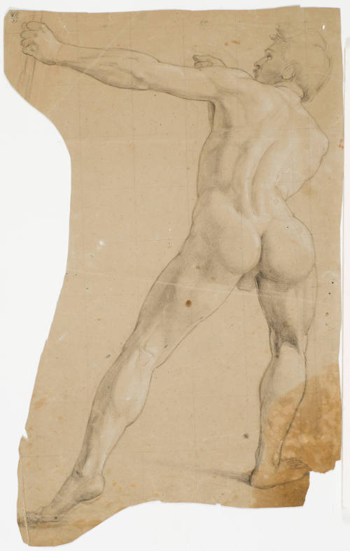 Study of Nude Youth
