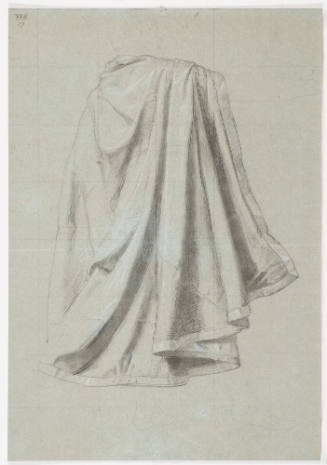 Garment Study