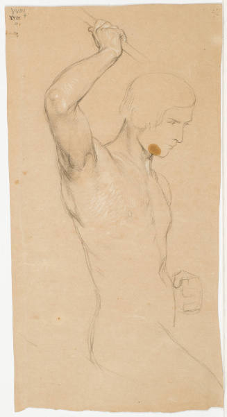 Male Nude