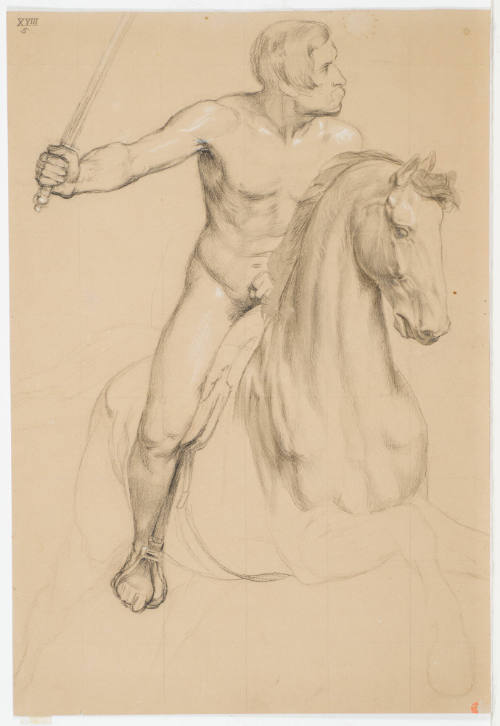 Rider