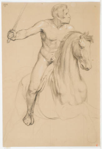 Rider