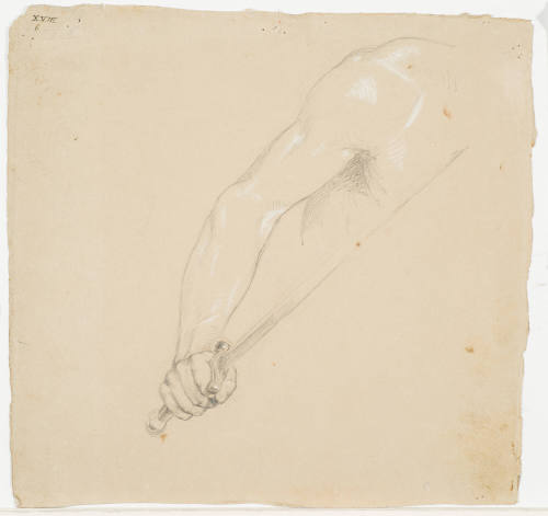 Study of an Arm