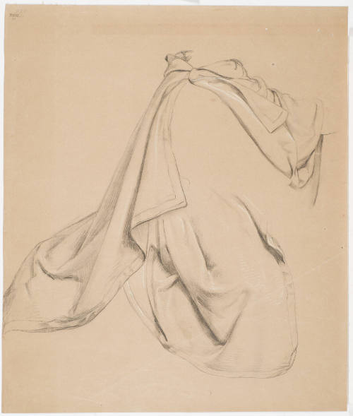 Garment Study