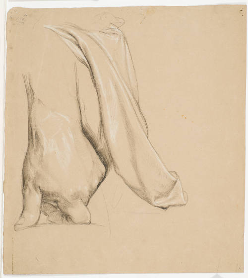 Study of a Hand