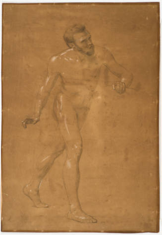 Male Figure