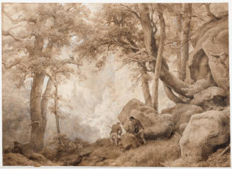 Forest Scene with Poachers