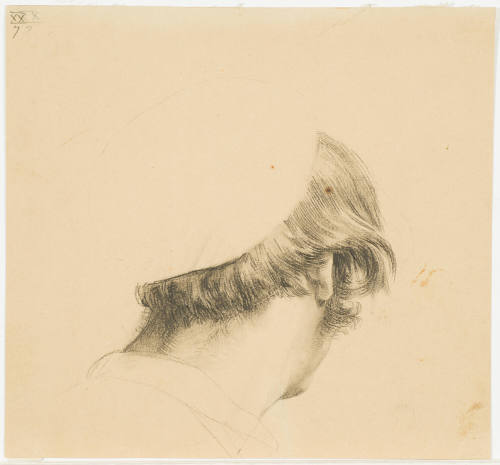 Study of a Male Head