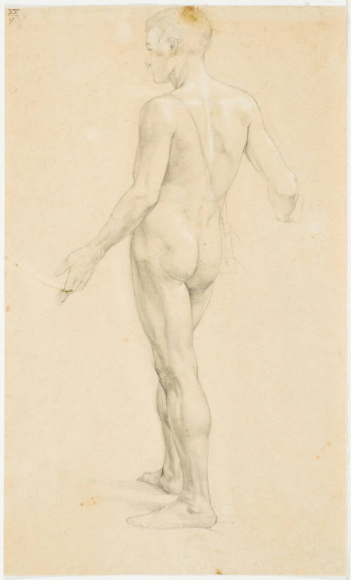 Male Nude