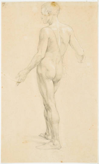 Male Nude