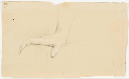 Study of Hand