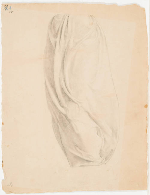 Garment Study